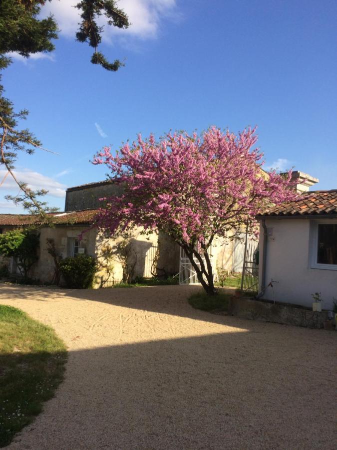 Chaniers Le Logis Du Plessis B&B 외부 사진