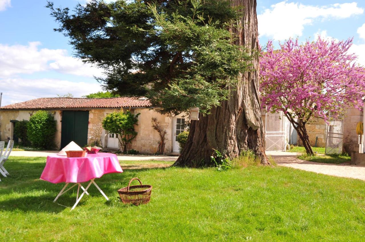 Chaniers Le Logis Du Plessis B&B 외부 사진